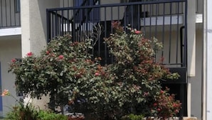 A building with a brick planter bed, a staircase, and a door marked "206". - Stay 4 Less (Fredericksburg)