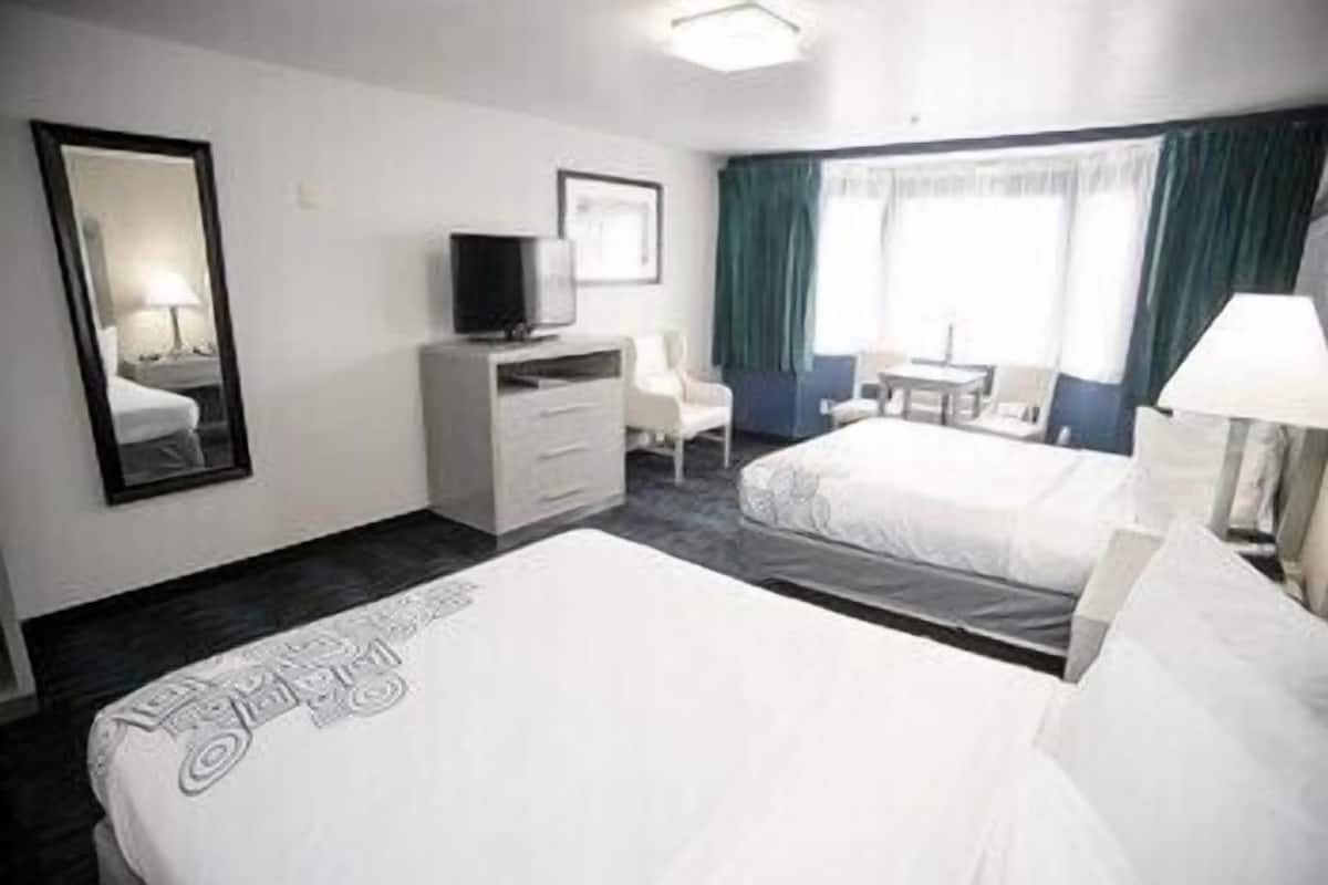 A hotel room with a bed, a desk, a chair, a television, a mirror, and a window with curtains.