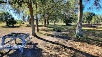 BBQ/picnic area