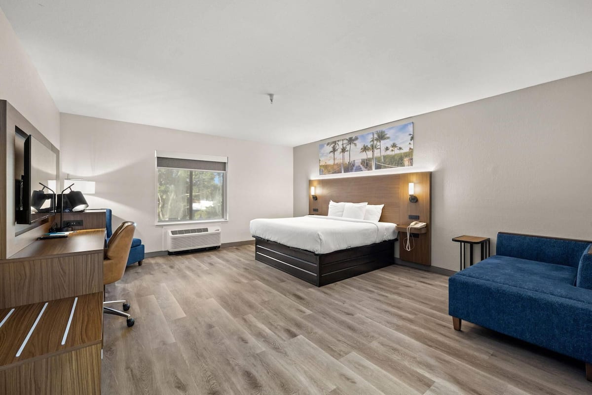 A modern hotel room with a bed, desk, chair, and a blue sofa.