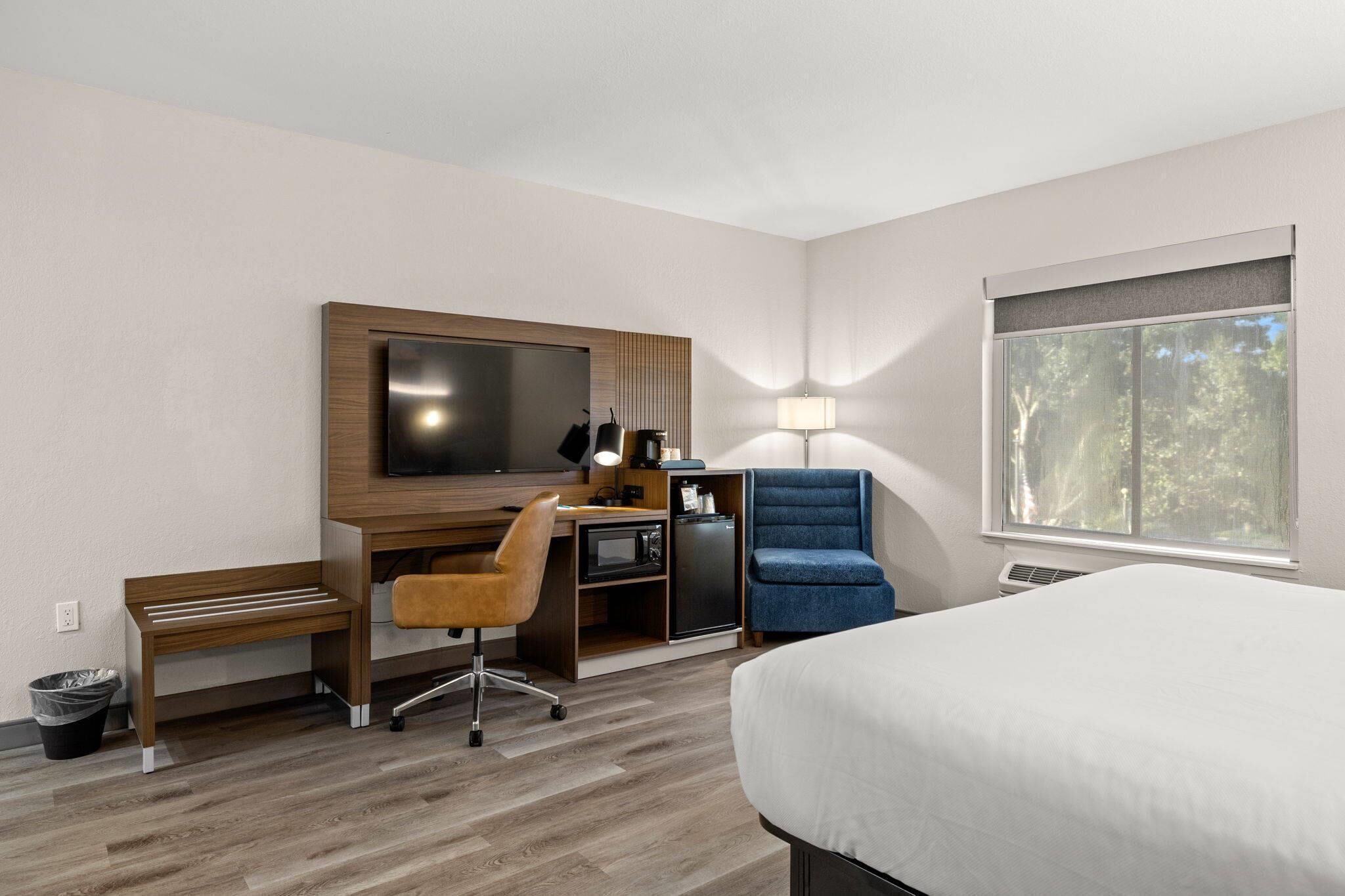 Standard Room, 1 King Bed with Sofa bed, Non Smoking