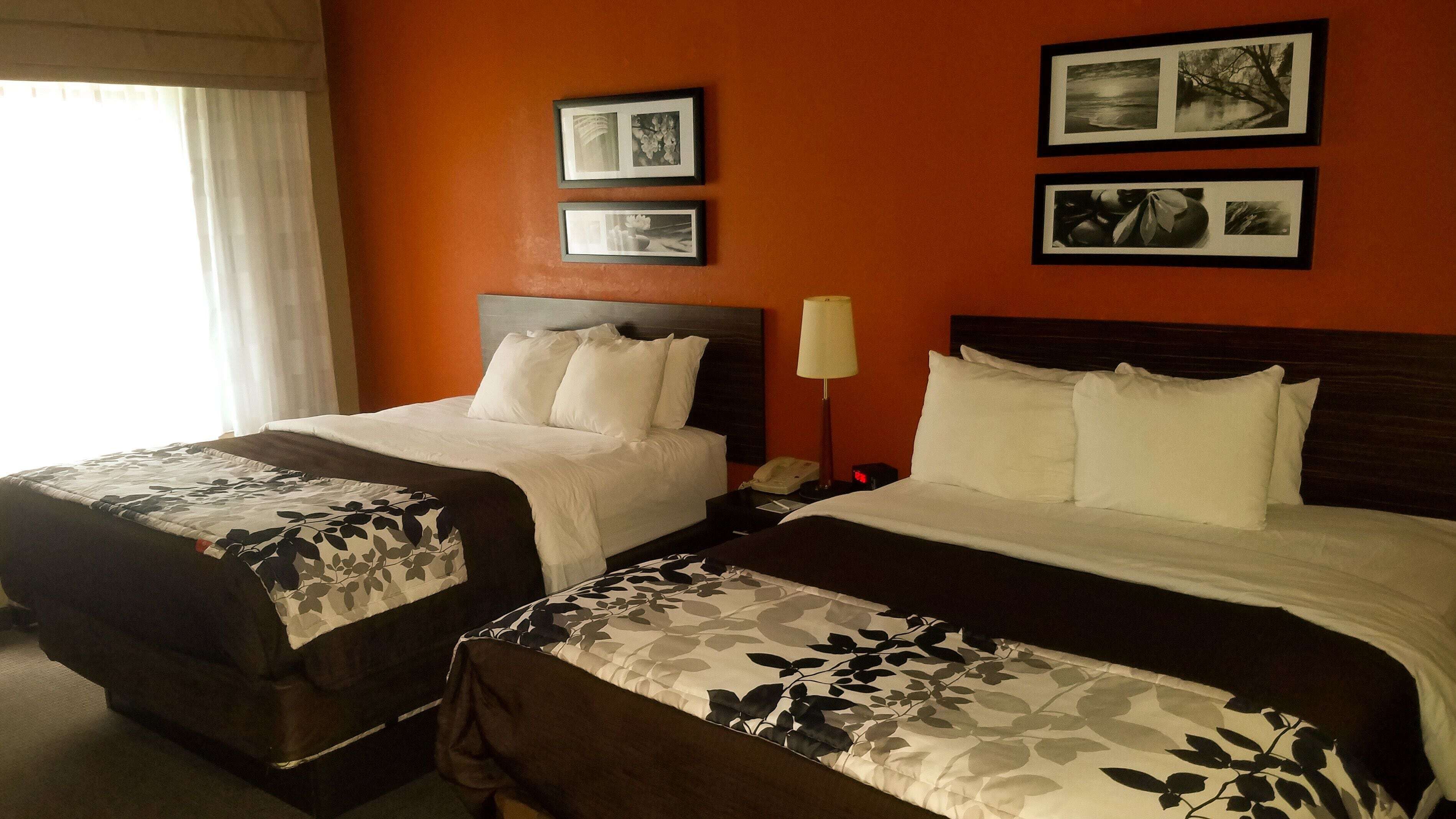In-room safe, desk, iron/ironing board, free WiFi