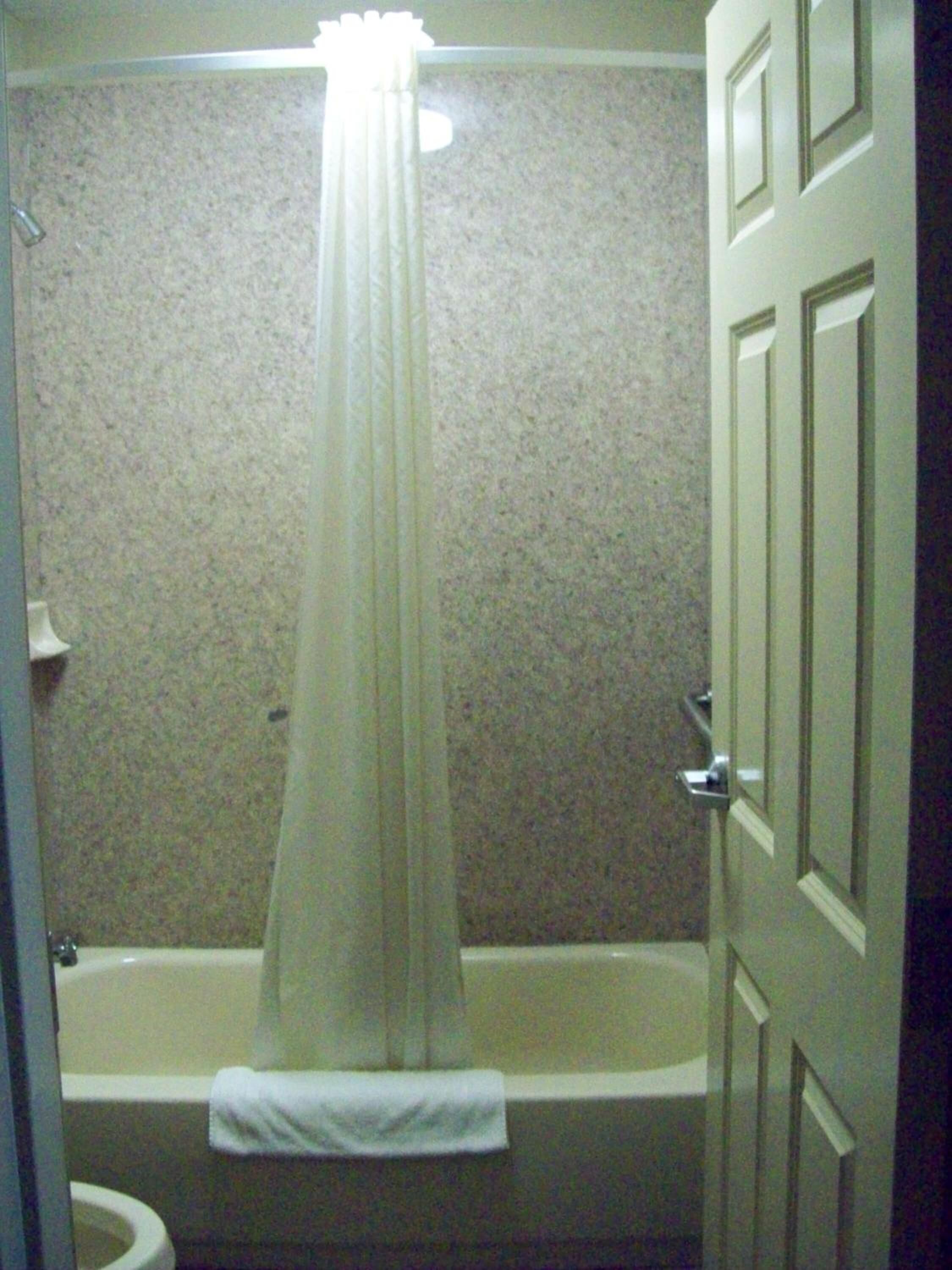 A bathroom with a bathtub, a toilet, and a shower curtain.