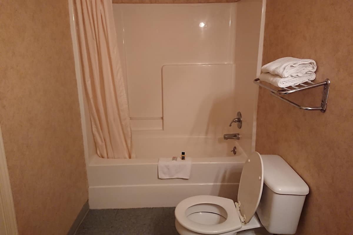 Standaard kamer, 1 kingsize bed, niet-roken | Badkamer | Een bad/douchecombinatie, gratis toiletartikelen, handdoeken