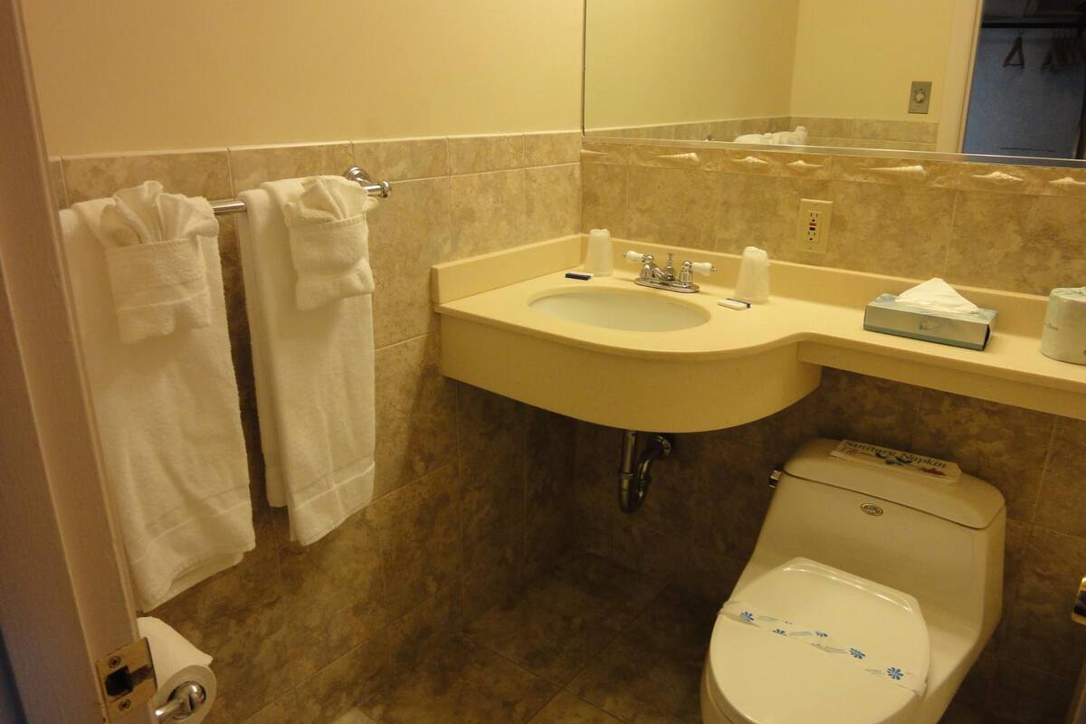 hair dryer, towels