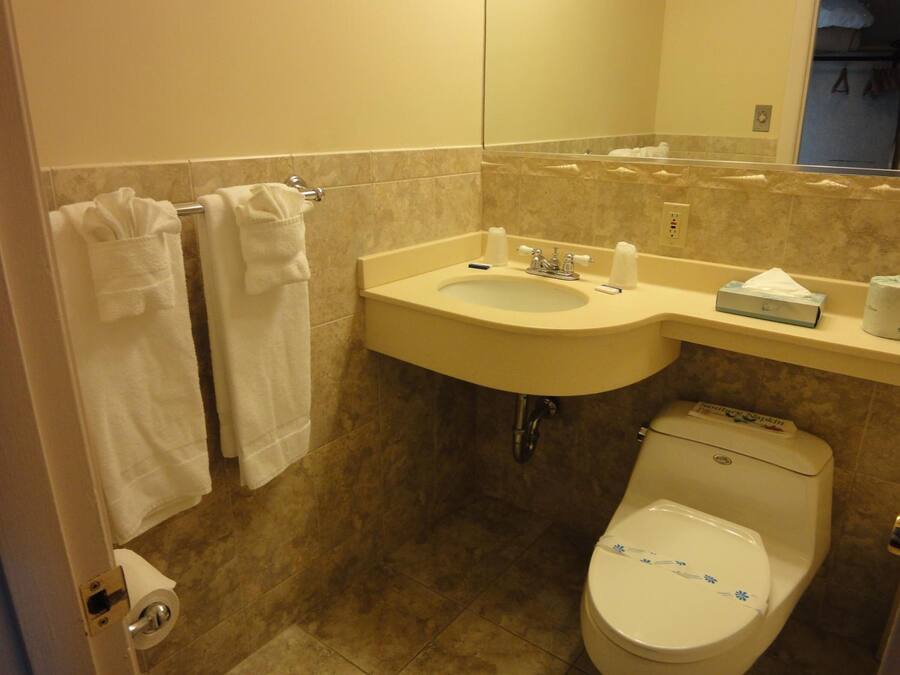 A bathroom with a sink, toilet, and towel rack.