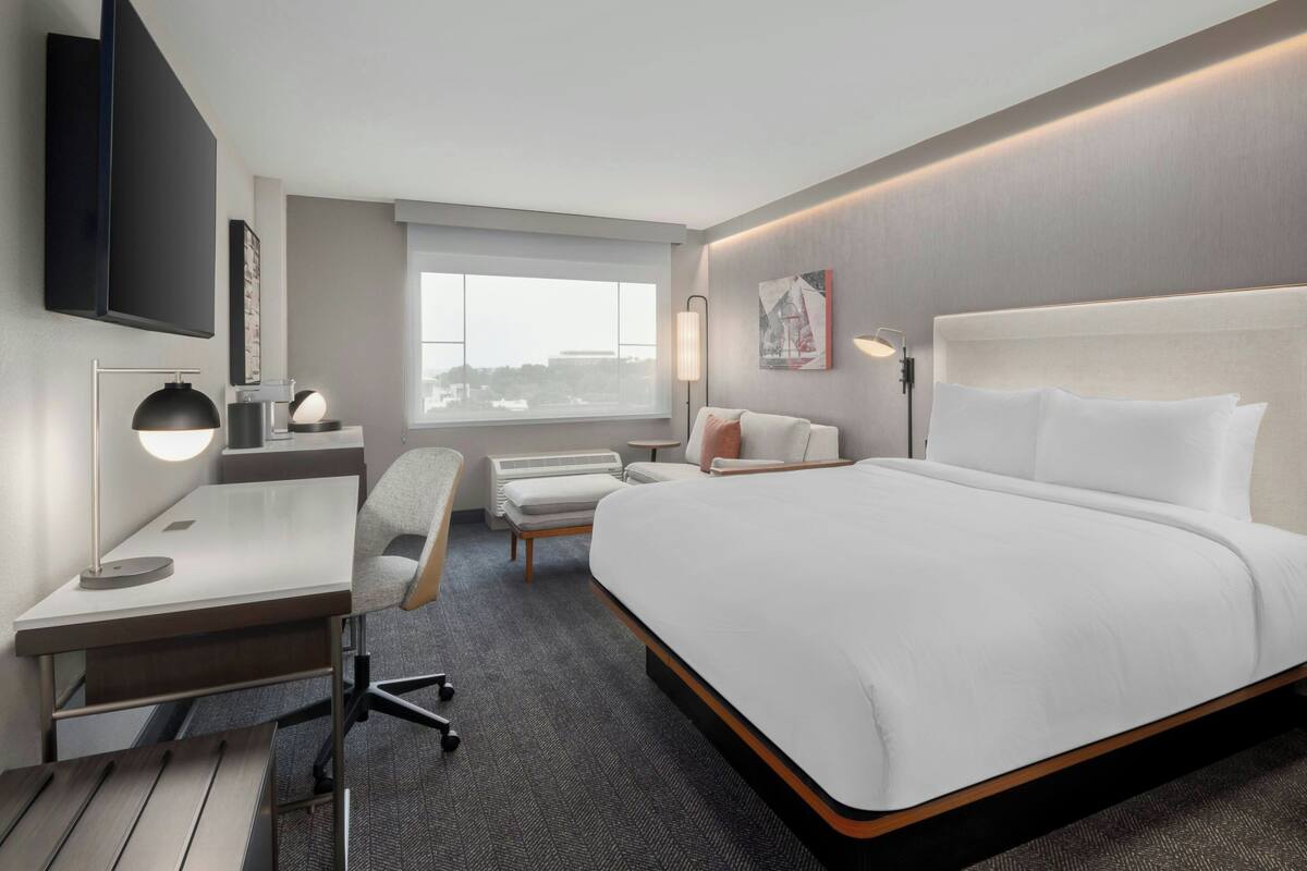 standard room, 1 king bed with sofa bed, non smoking | hypo-allergenic bedding, desk, laptop workspace, iron/ironing board