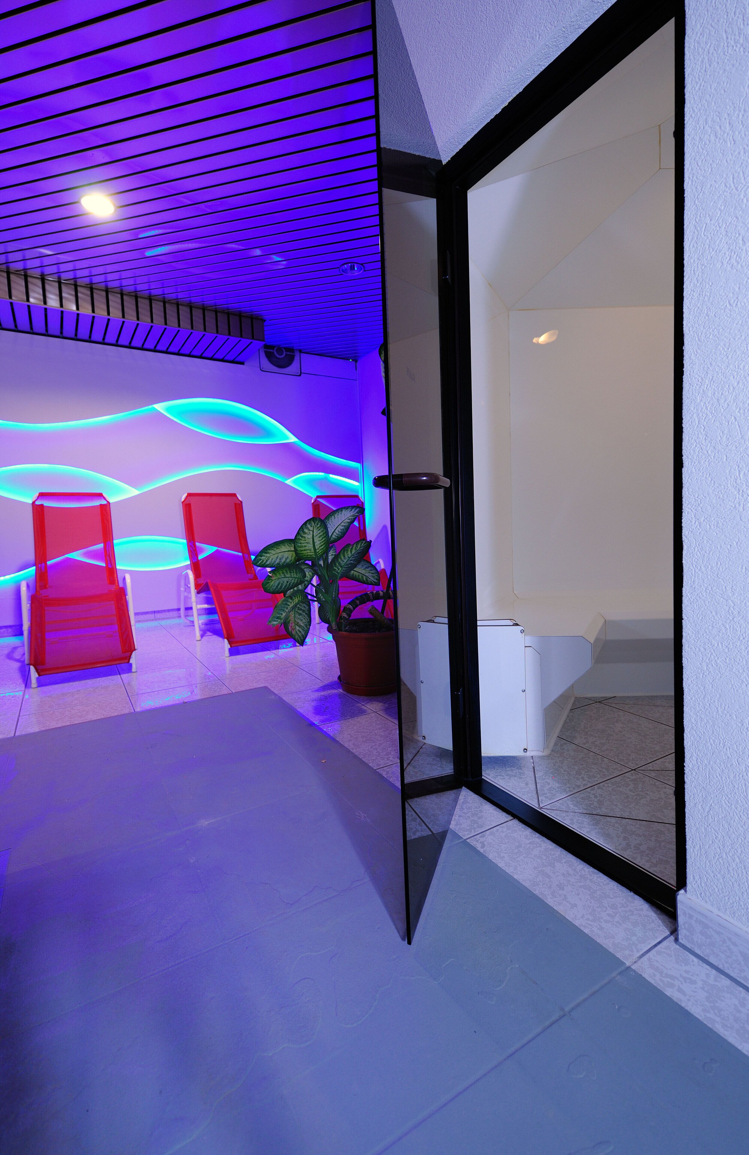 Ein Zimmer mit modernem Design, das mit einem wellenartigen Lichtmuster in der Decke, einer großen Kübelpflanze und zwei roten Stühlen ausgestattet ist.