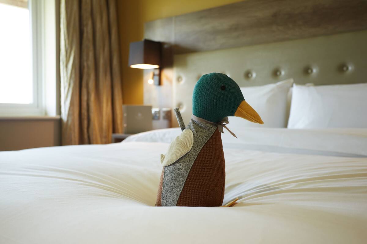 A bed with a plush pillow and a decorative duck-shaped pillow.