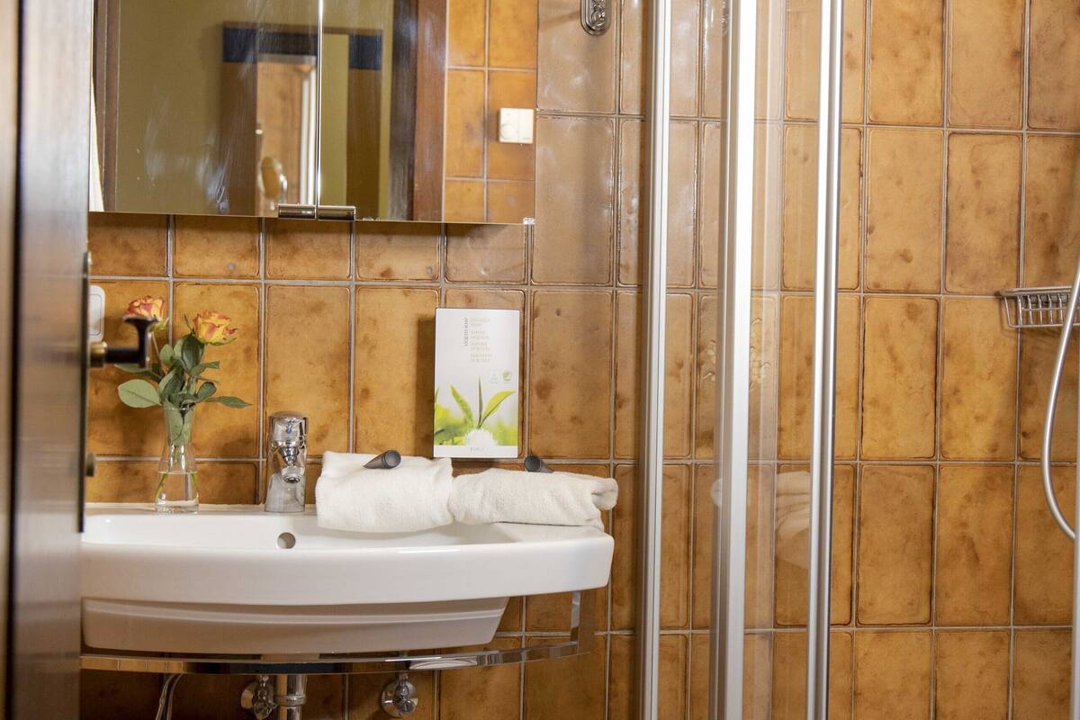 shower, free toiletries, hair dryer, towels