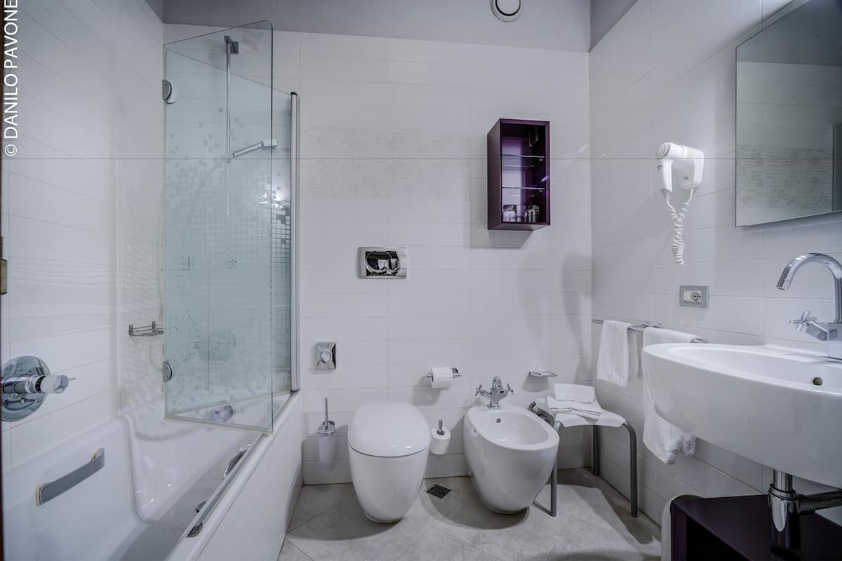 combined shower/bathtub, free toiletries, hair dryer, bidet