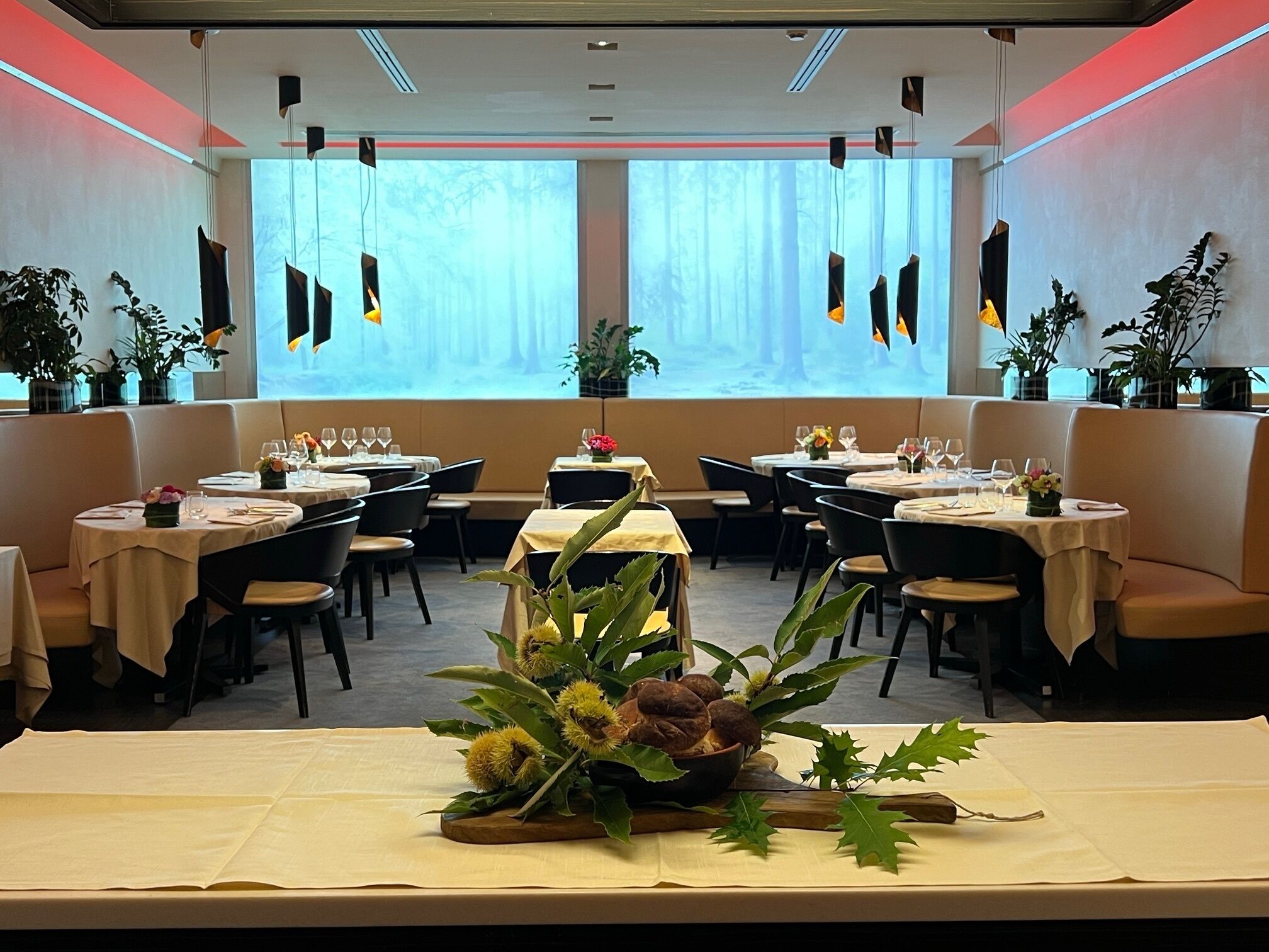 Breakfast, lunch, dinner served; Italian cuisine, alfresco dining 