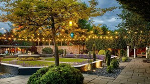 정원