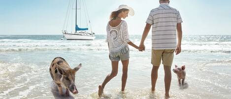 A couple walking on a beach with a sailboat in the background.