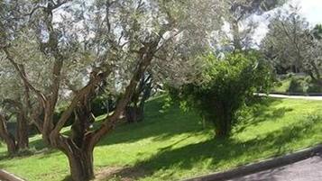 Parco della struttura