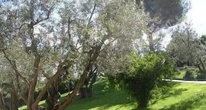 Hotel Tirrenus