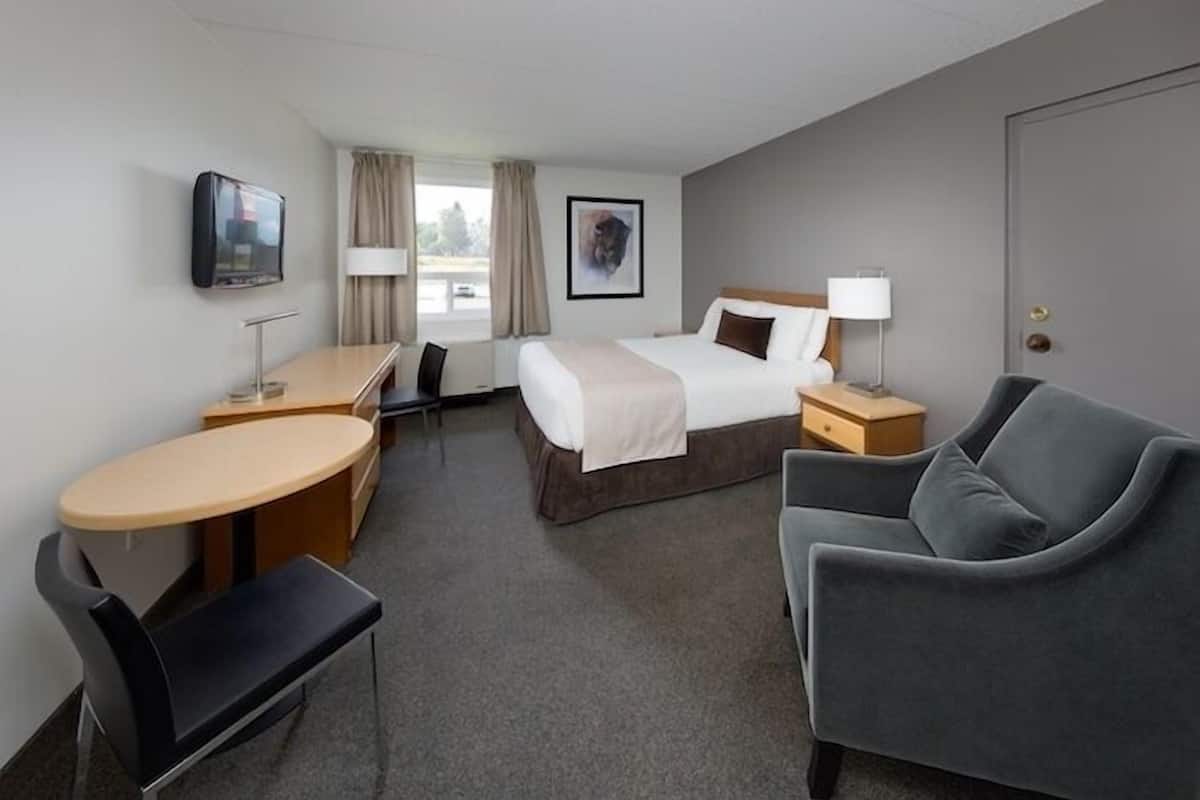 A hotel room with a bed, a desk, a chair, a sofa, a TV, and a window with curtains.
