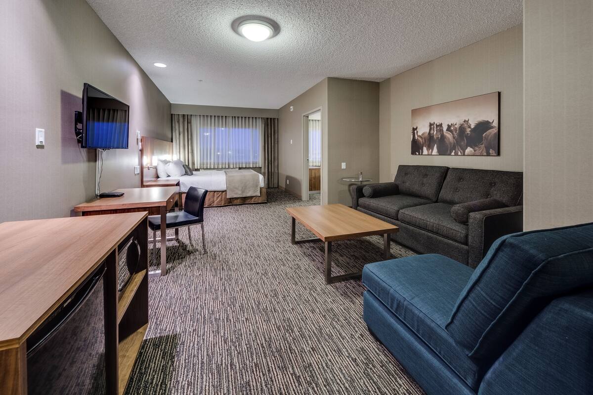 A hotel room with a bed, a desk, a sofa, a TV, and a painting on the wall.