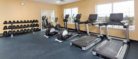 A gym with treadmills, elliptical machines, and a wall of dumbbells.