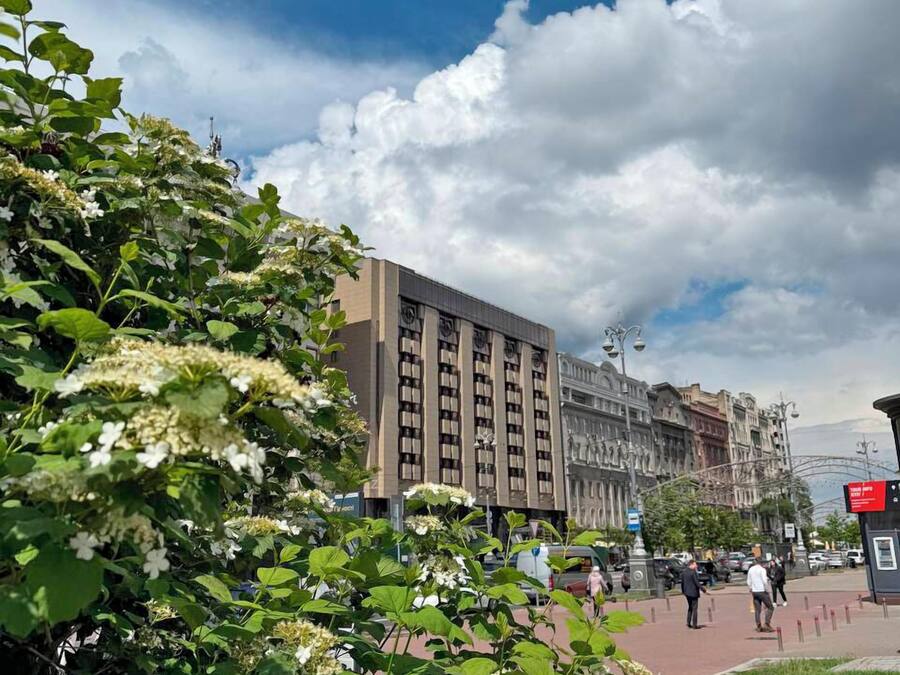 Un edificio con fachada moderna, cielo despejado y un jardín bien cuidado con flores blancas.