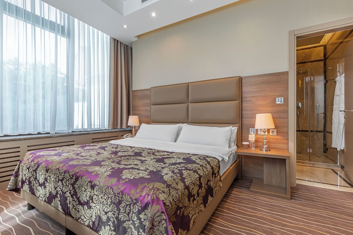 A hotel room with a large bed, a bedside table with lamps, a shower area, and a view of the outdoors through the window.