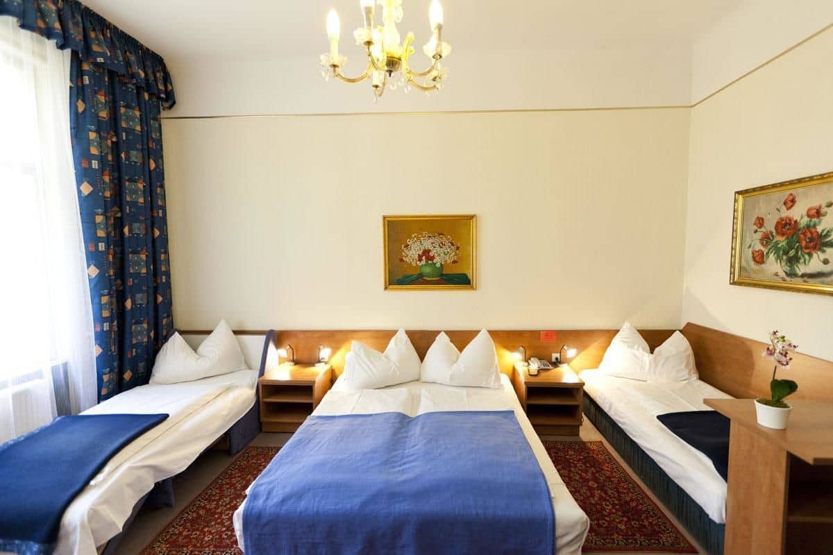 A hotel room with two single beds, a chandelier, a painting, and a small table with a plant.