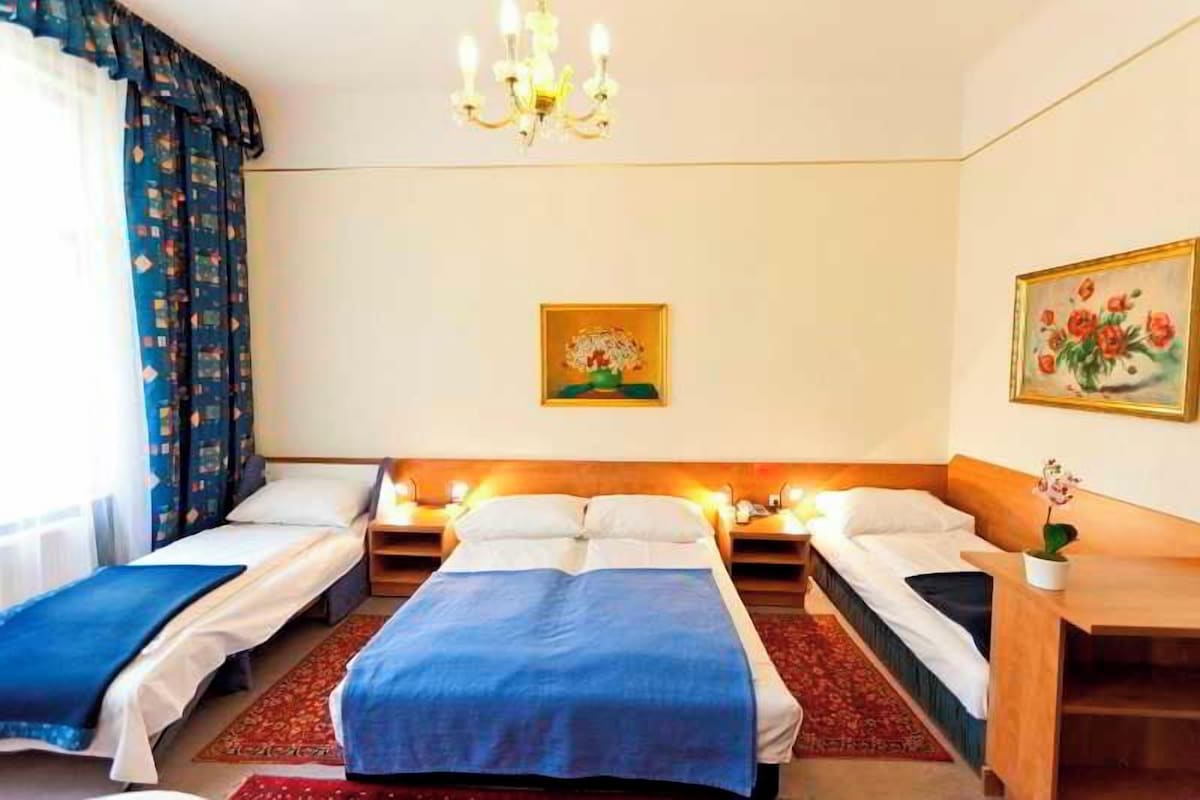 Hotellihuone, jossa on kaksi erillistä sänkyä, suuri sänky, kattokruunu, taulu ja pieni pöytä, jonka päällä on kasvi.