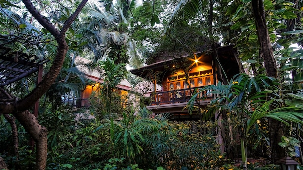 Une structure en bois dotée d’un balcon, entourée d’une végétation tropicale luxuriante.