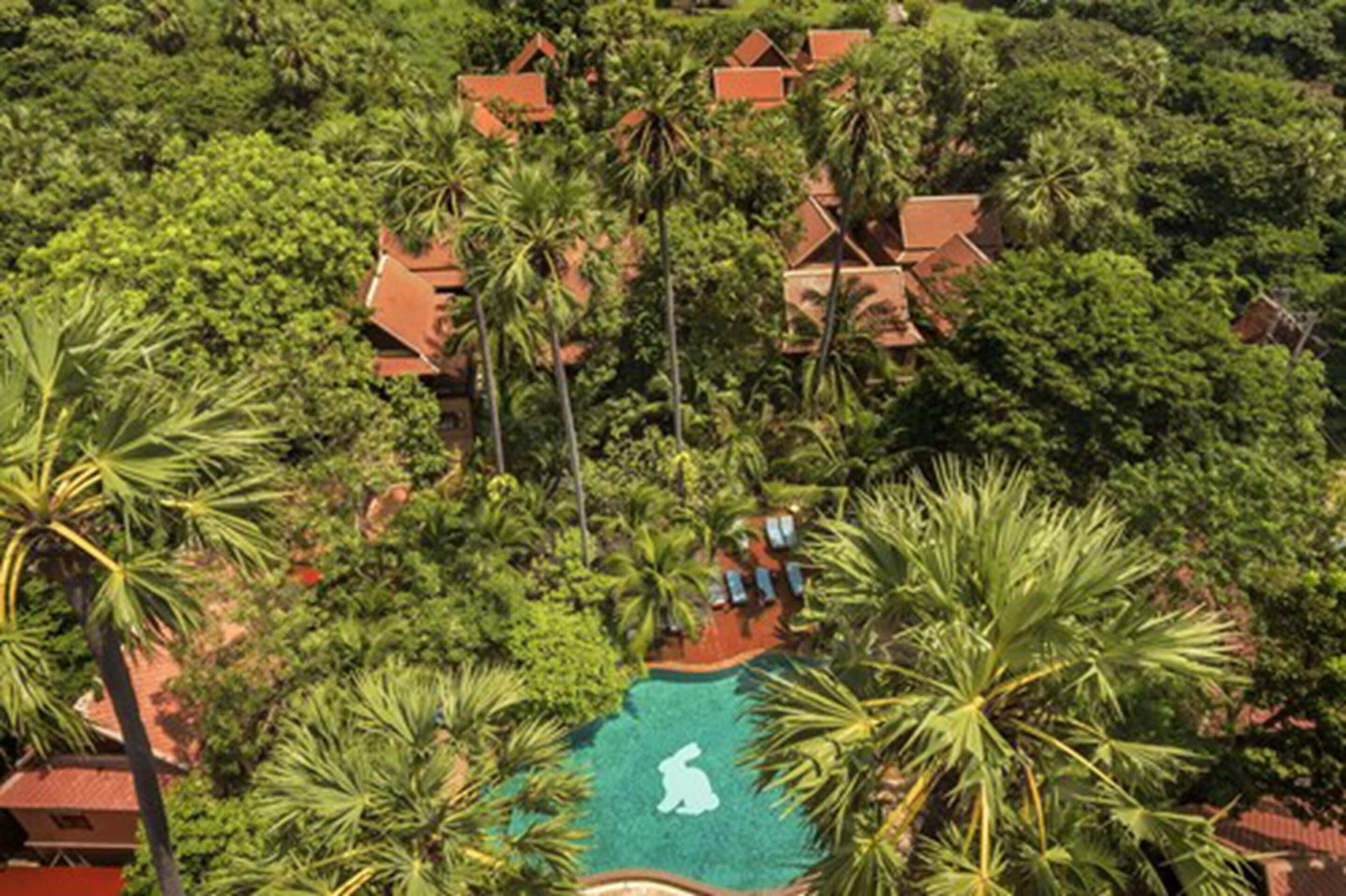 Photo - Rabbit Resort Pattaya