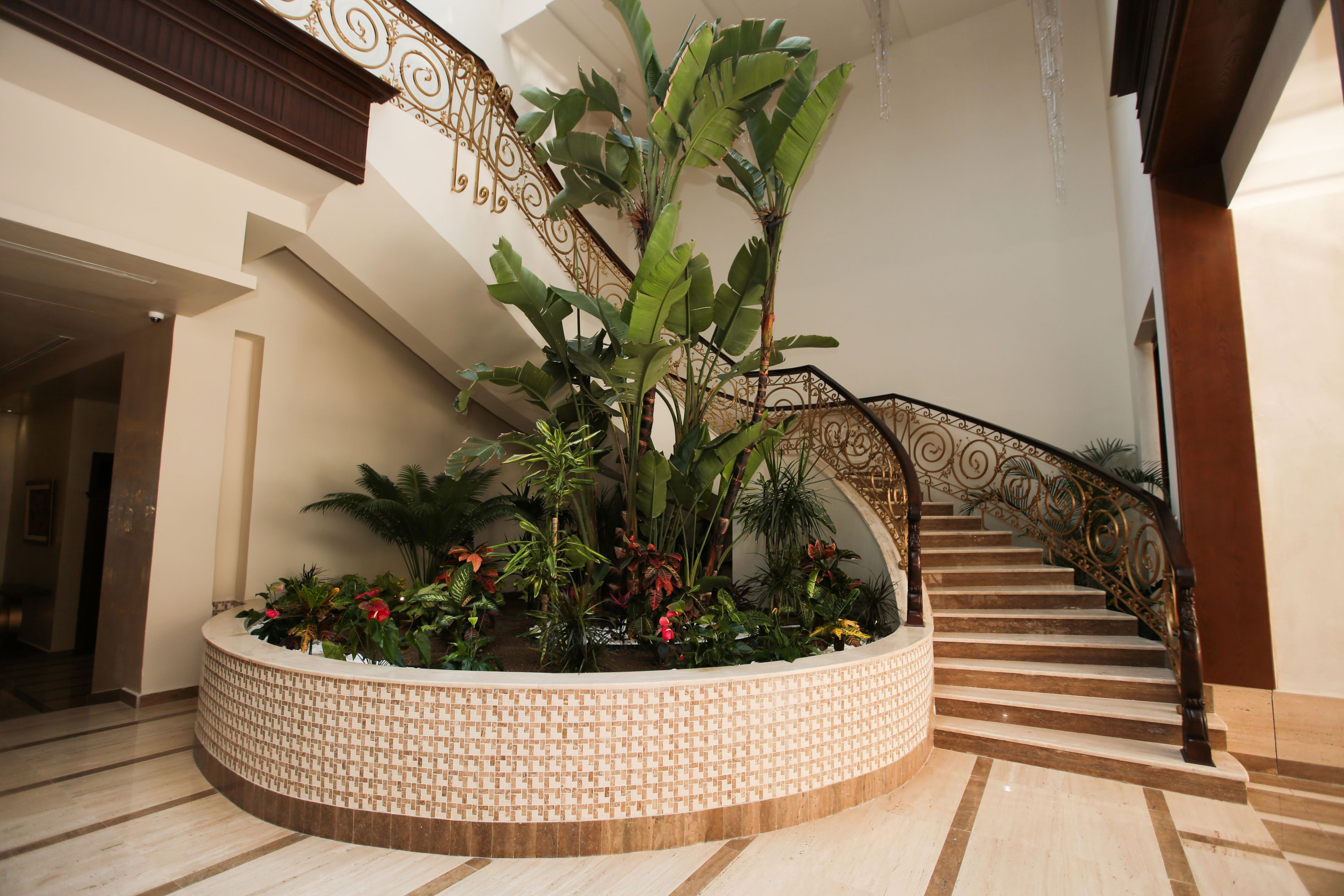 Una amplia escalera con barandilla decorativa, una jardinera circular con plantas tropicales y un piso de baldosas.
