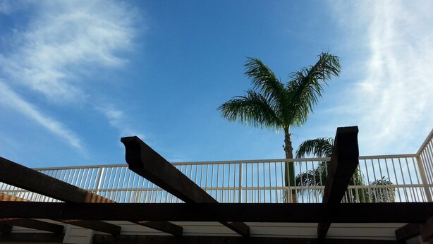 A clear blue sky with a palm tree and a white metal railing. - La Copa Inn (Alamo)