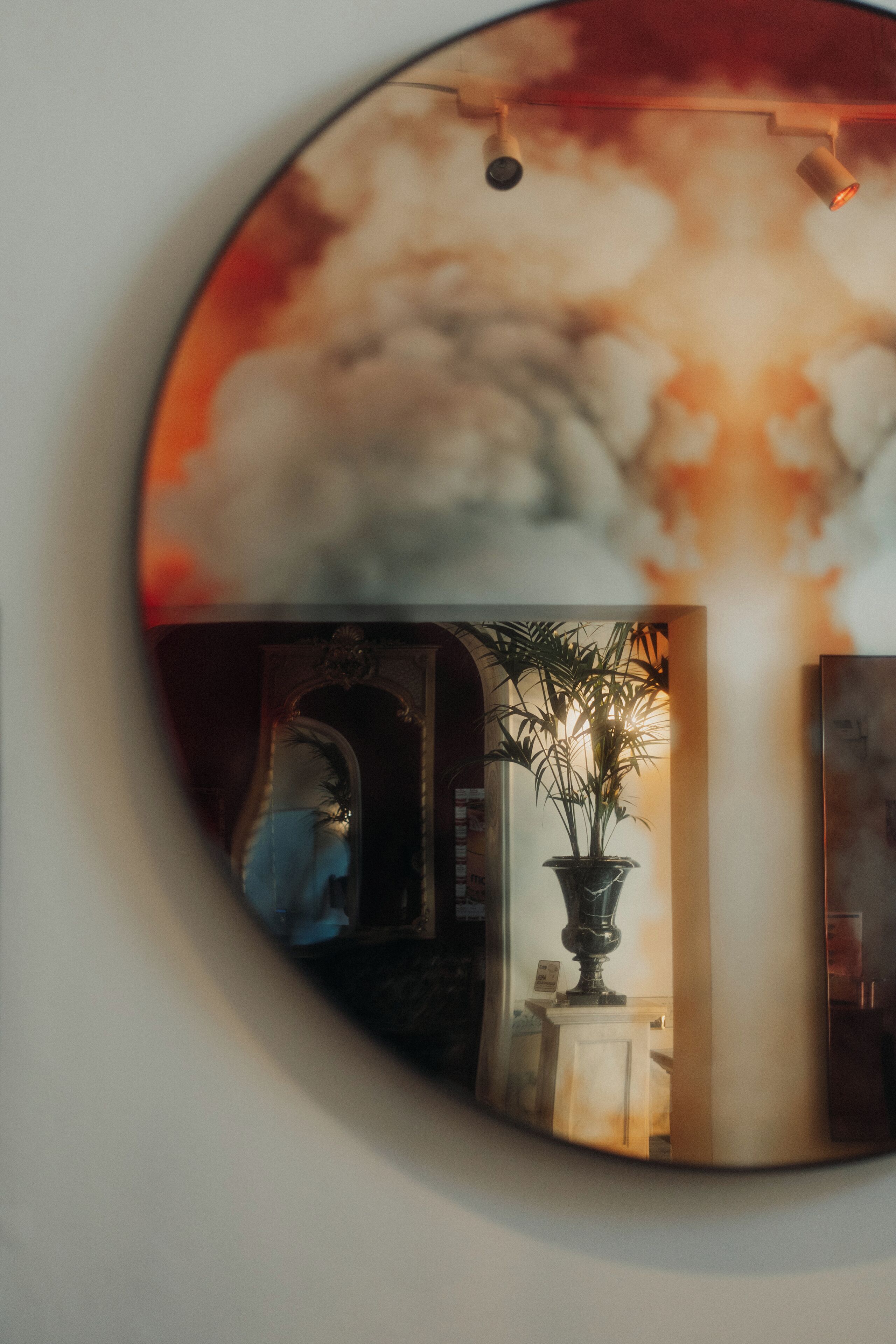 A circular mirror reflecting a room with a potted plant, a lamp, and a doorway.
