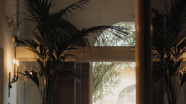 A checkered floor, a wooden door, and two potted plants. - Hotel Palazzo Guiscardo (Pietrasanta)