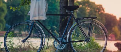 Un vélo est garé à côté d’un arbre dans un parc, avec un lac en arrière-plan.