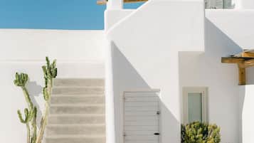 A white building with a wooden pergola, a staircase, and a cactus plant.