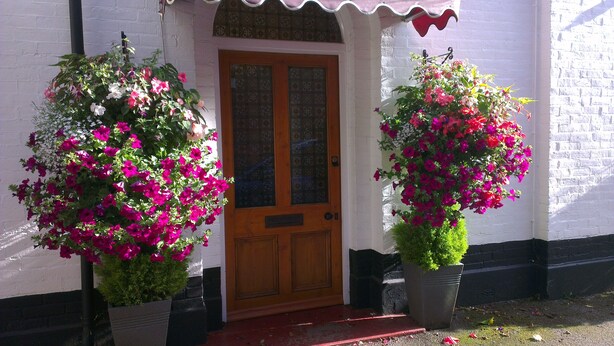 A white building with a wooden door and two large flower pots with pink flowers. - The Rosscourt - Adults only (Bournemouth)