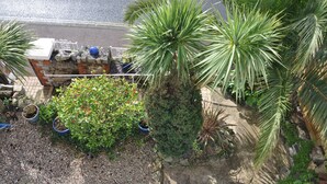 A garden with various plants and a brick wall. - Hotel Peppers (Torquay)