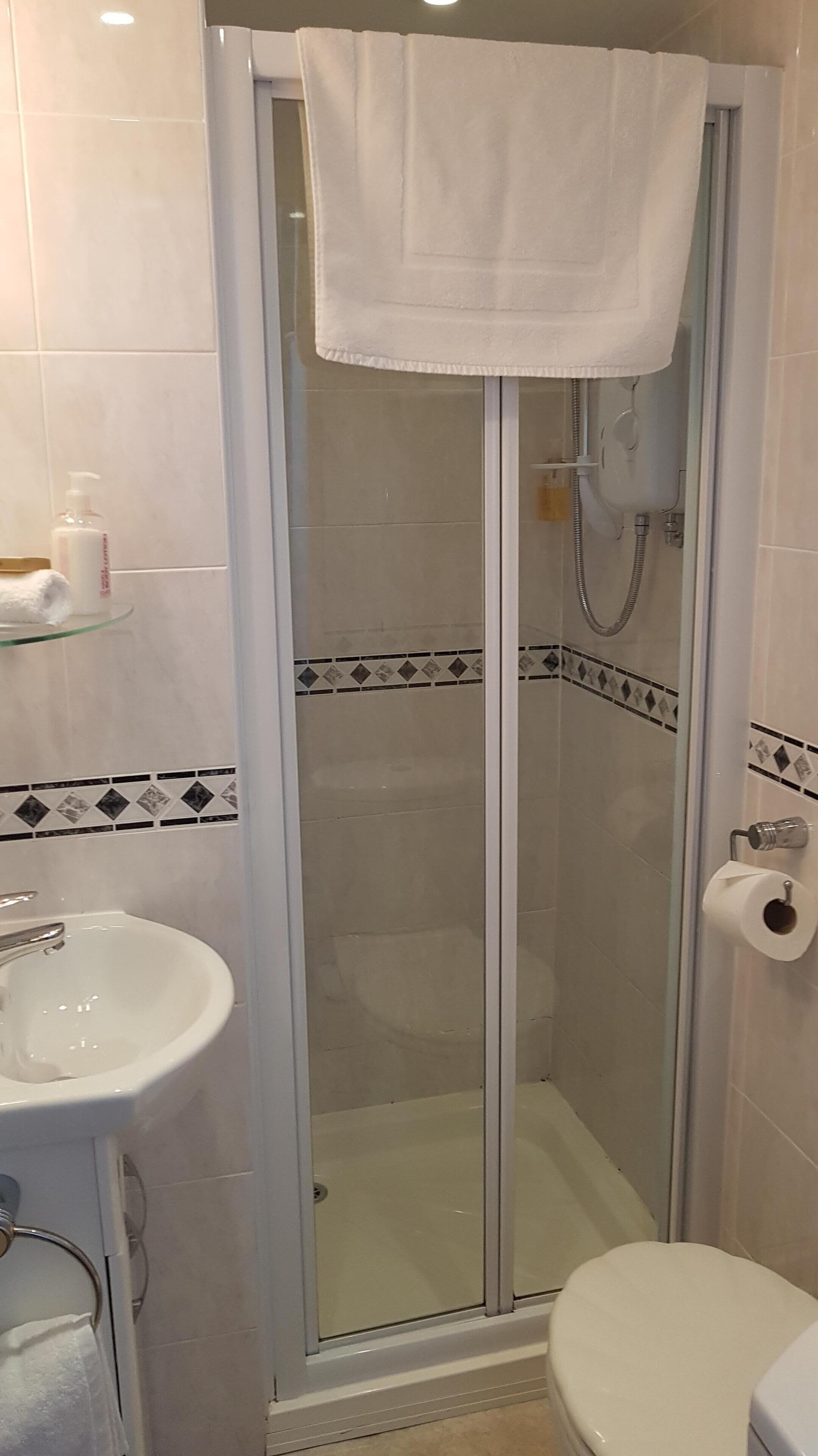 Una ducha con puerta de vidrio, un lavamanos blanco y un inodoro.