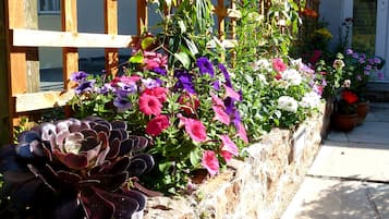 Jardin
