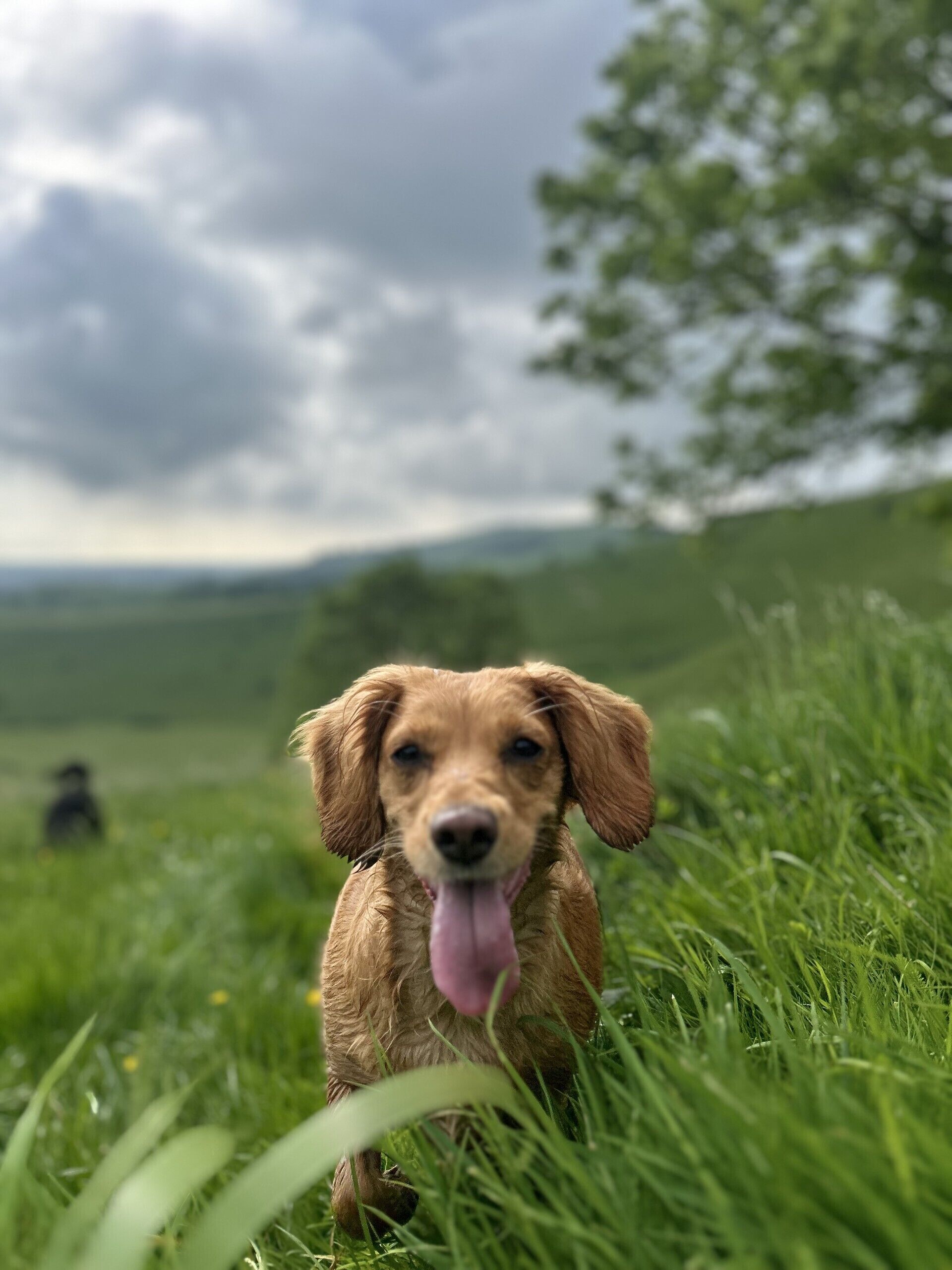 Photo - The Cumberland Hotel