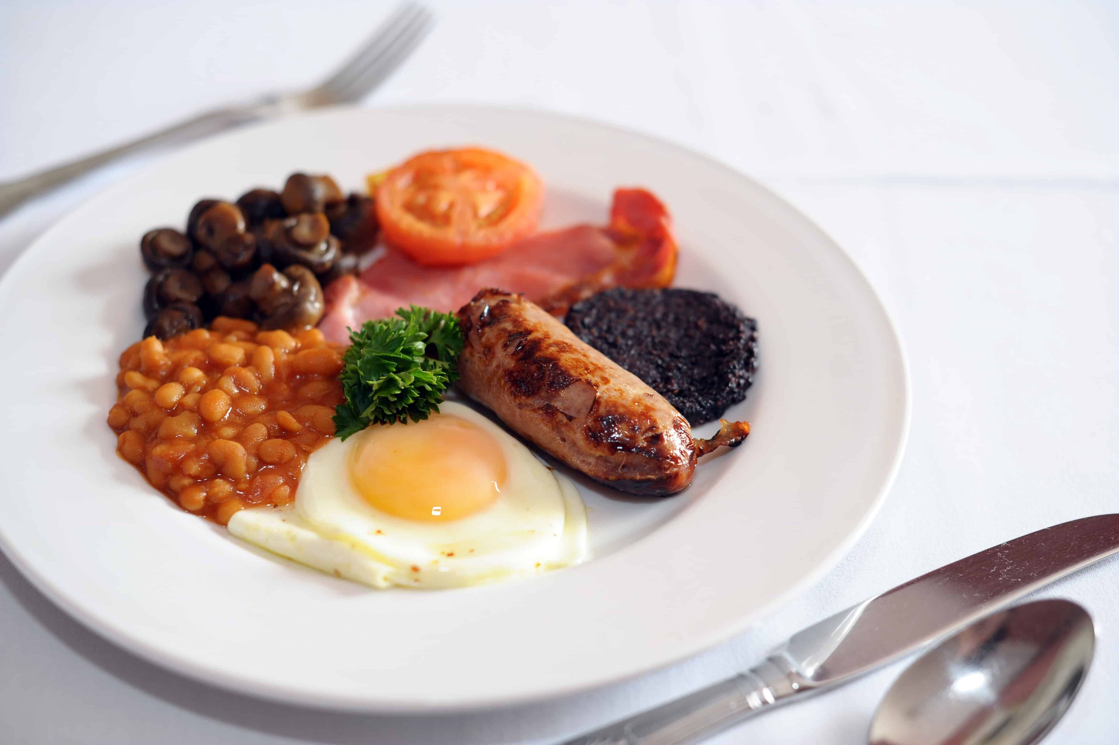 A plate of food with beans, a tomato, a slice of ham, a sausage, a fried egg, and a piece of black pudding.
