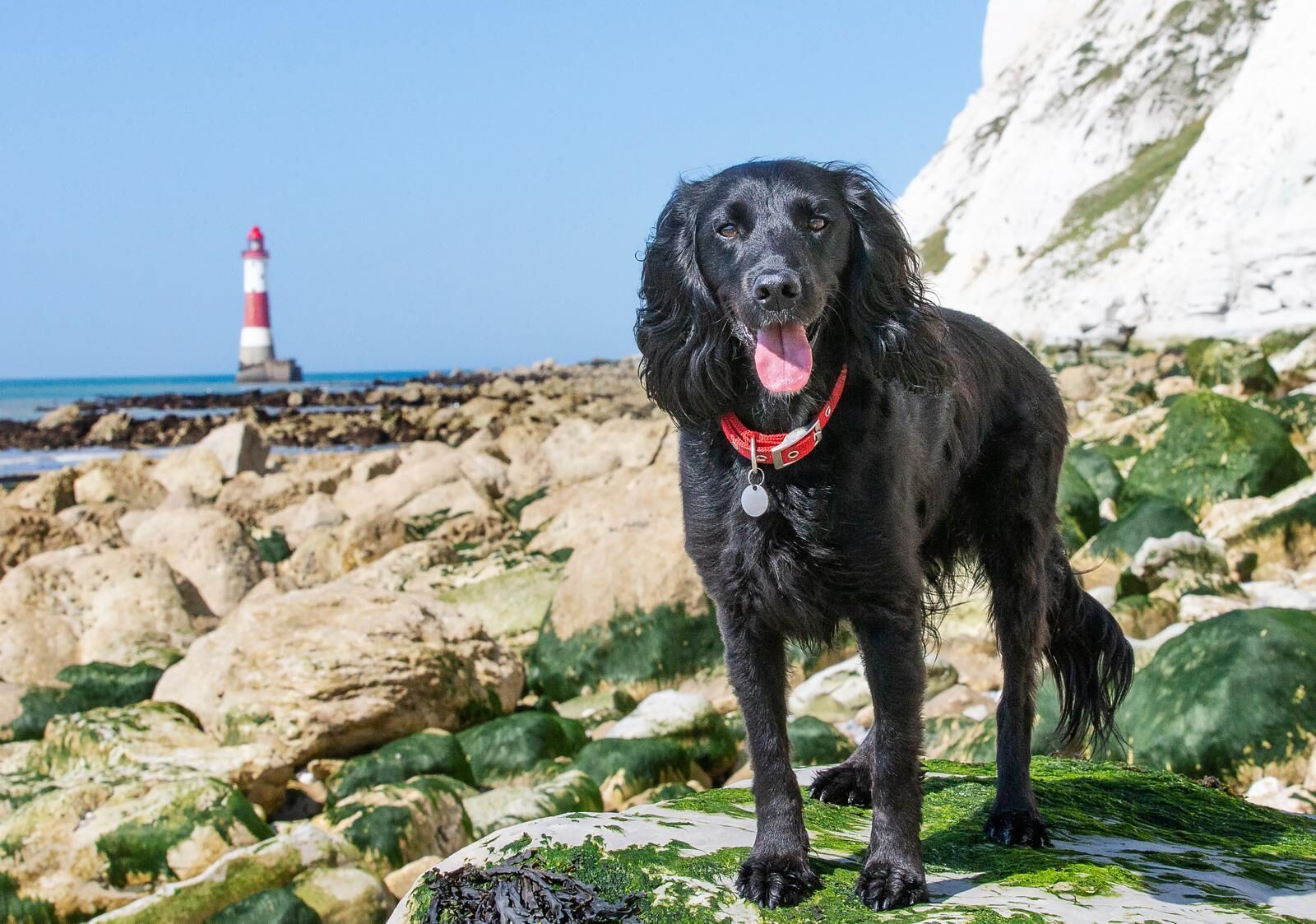 Photo - The Cumberland Hotel