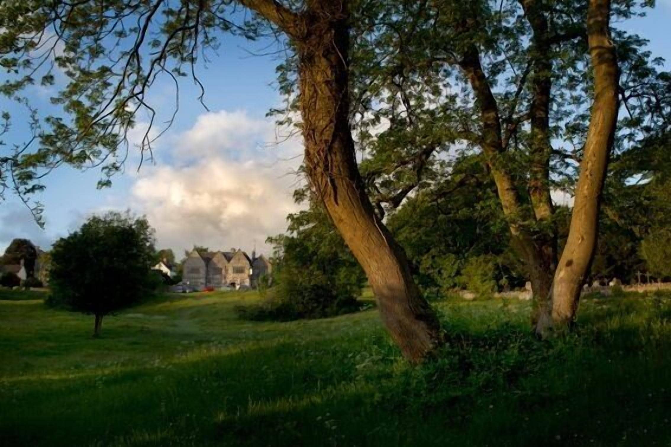 A grassy field with trees and a building in the background.