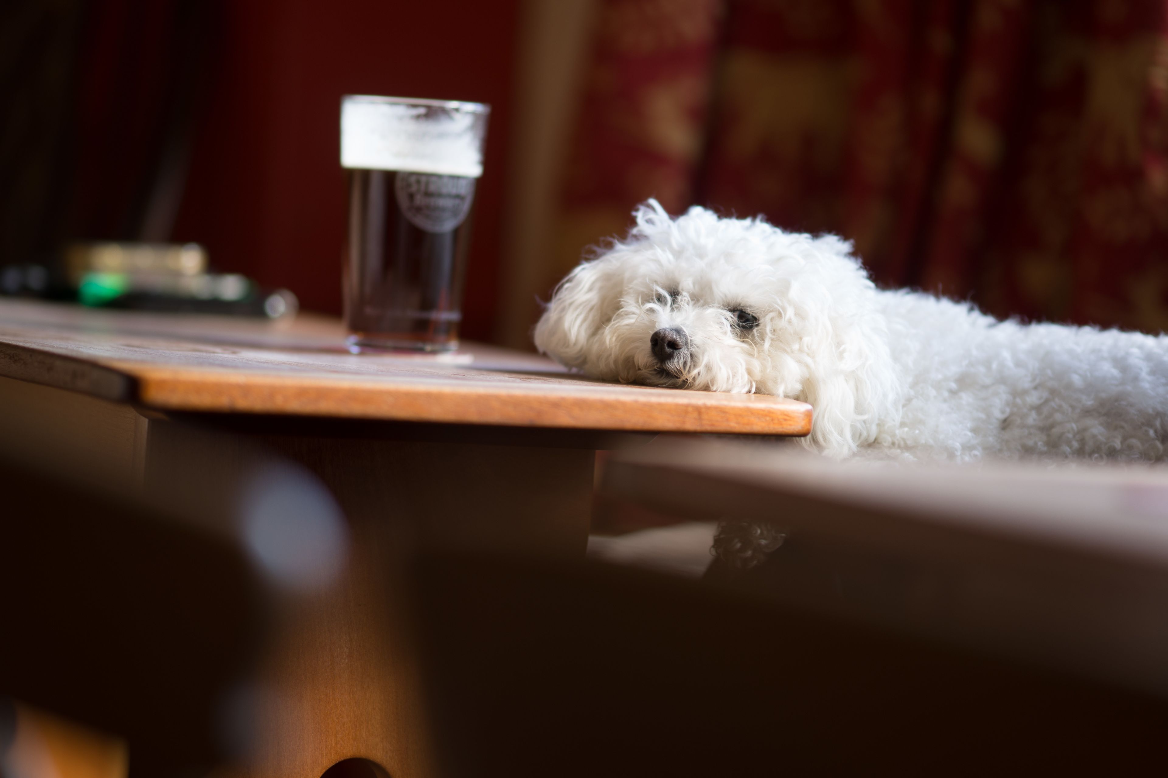 Bar (på overnattingsstedet)