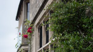 A stone building with a window and a plant growing over it. - The Amberley Inn (Stroud)