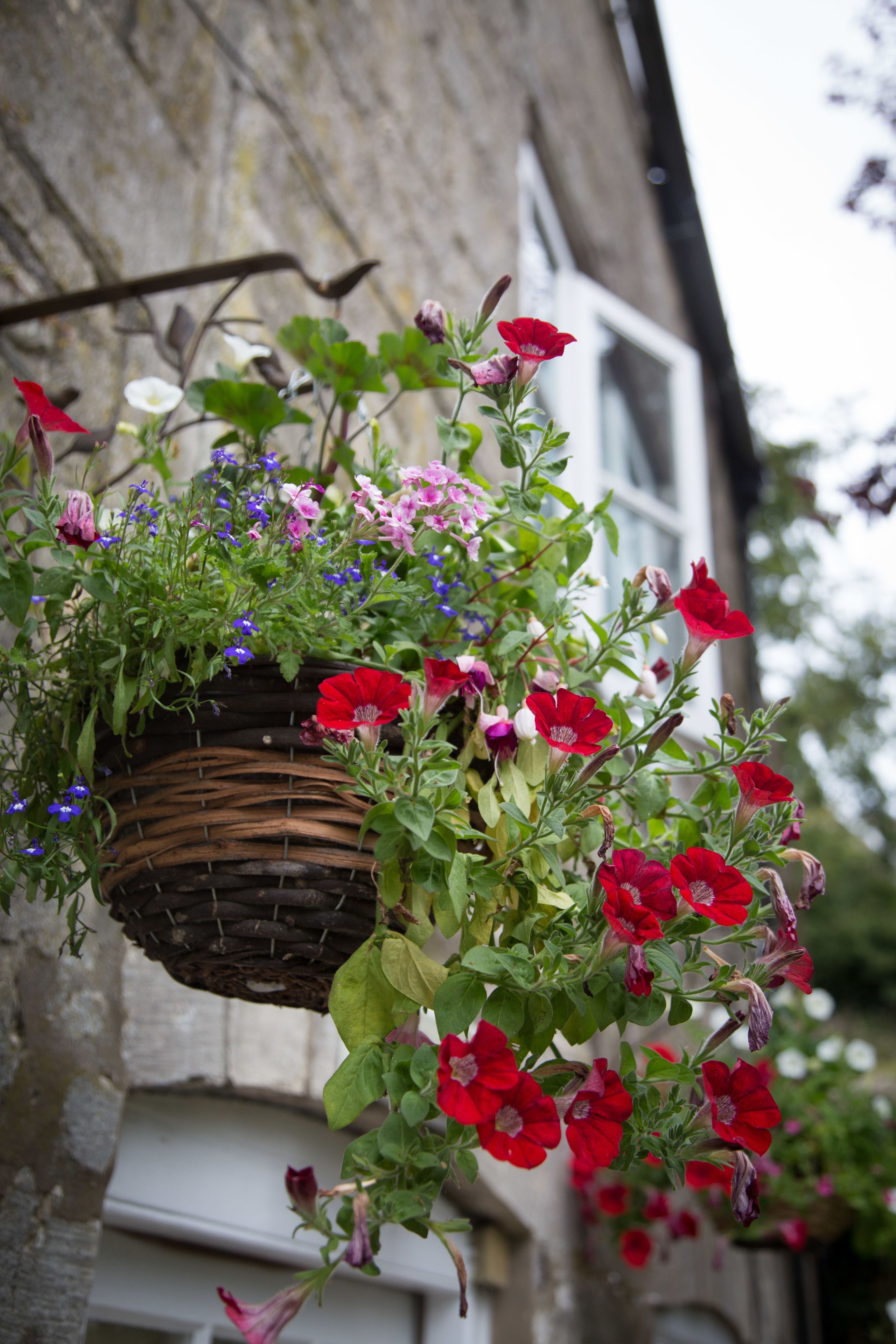 A hanging basket with a variety of flowers, including red, pink, and white blooms, against a building facade.