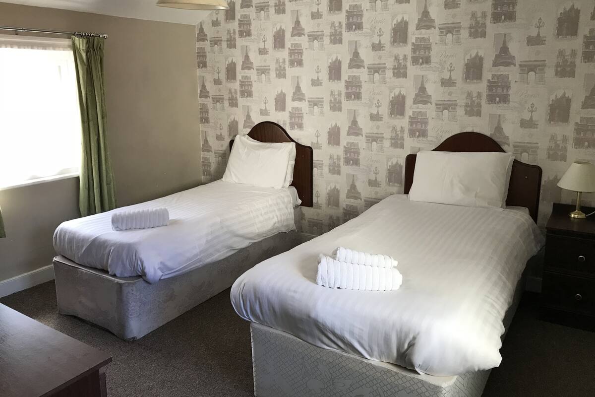 A double room with two single beds, a window with green curtains, a lamp on the nightstand, and a wall with Paris-themed wallpaper.