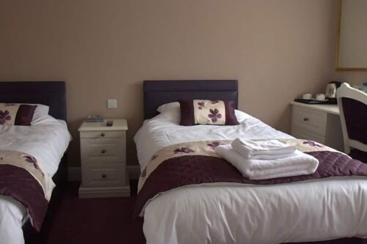 Standard Twin Room, Ensuite | 1 bedroom