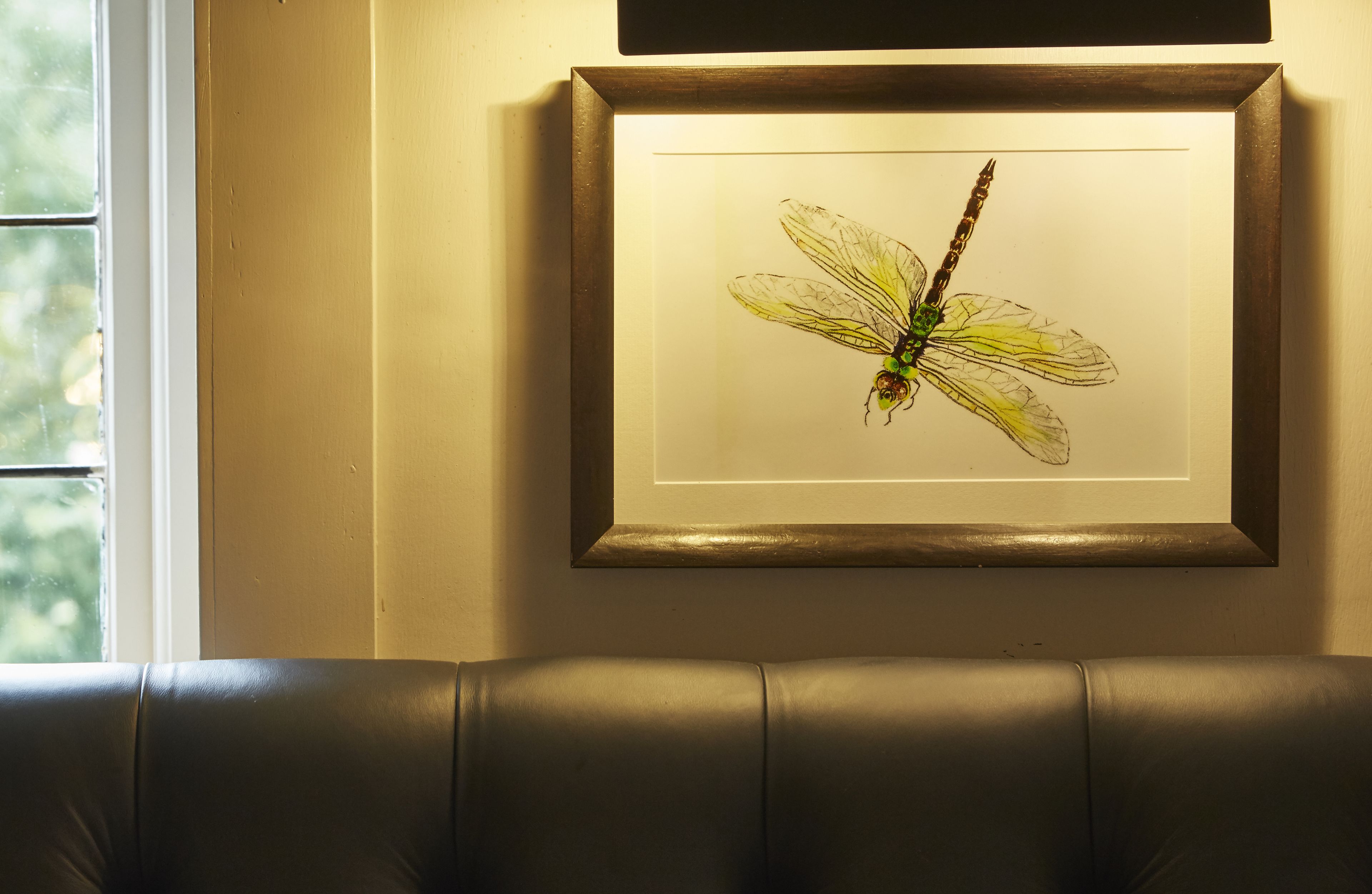 Una obra de arte enmarcada con una libélula en la pared.