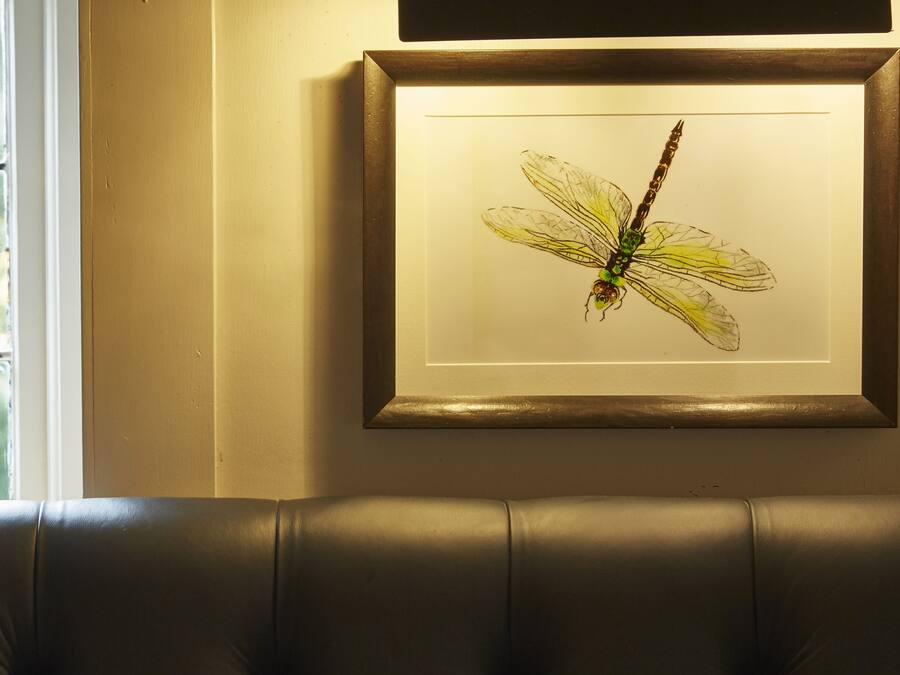 A framed artwork of a dragonfly on a wall.